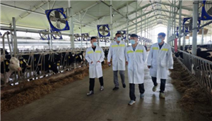 搭平台促应用提质增效 推进纯电动拖拉机在京郊牧场示范应用
